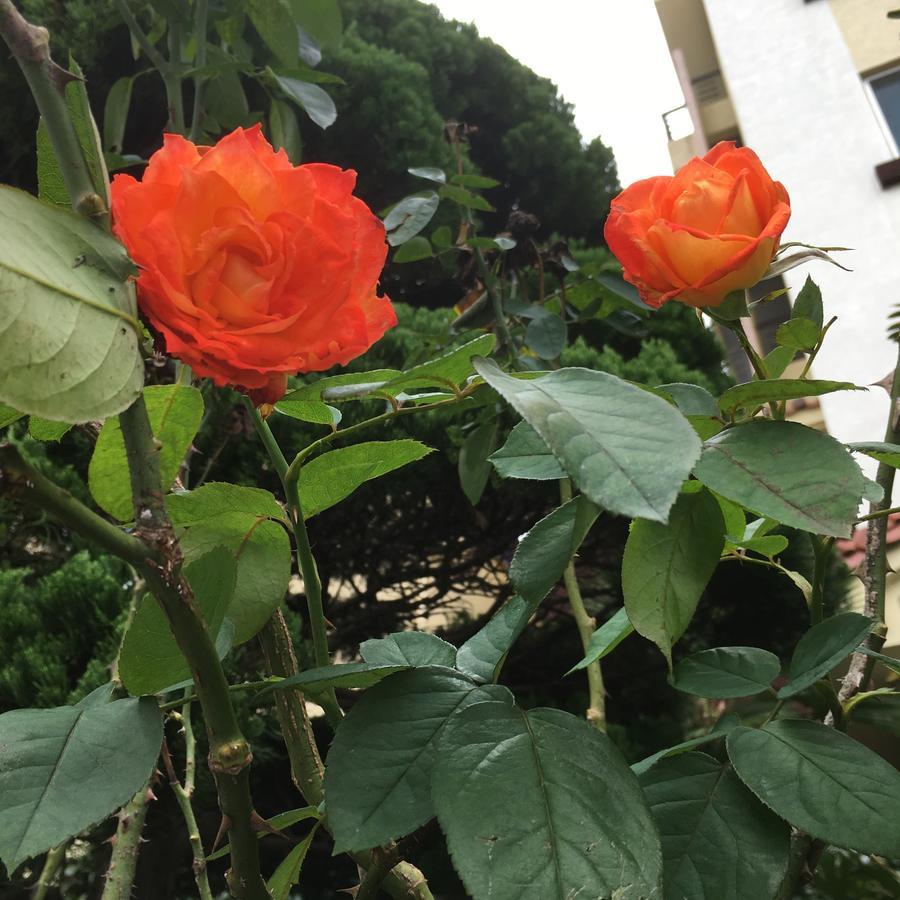 Charmant Hotel Mokpo Luaran gambar