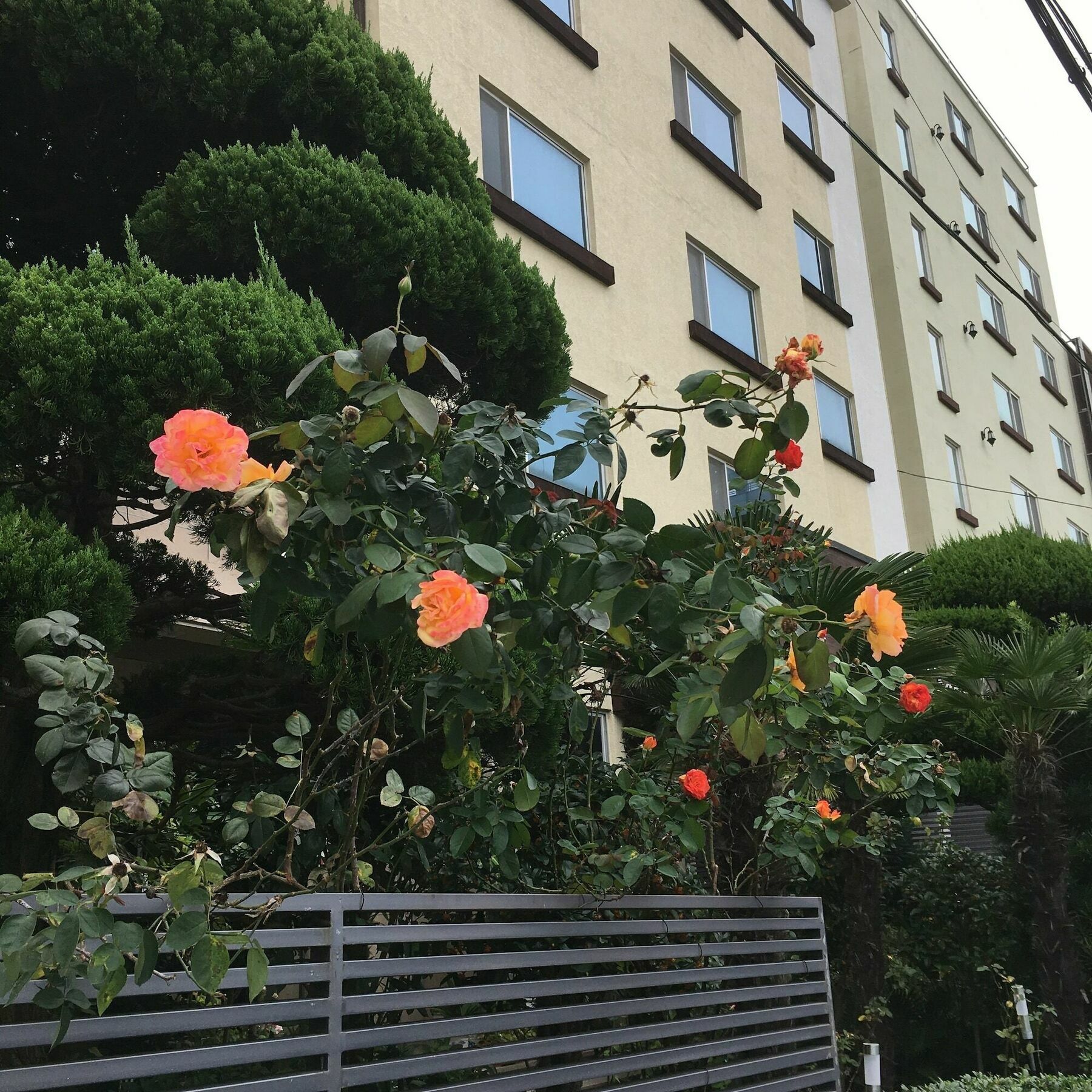 Charmant Hotel Mokpo Luaran gambar